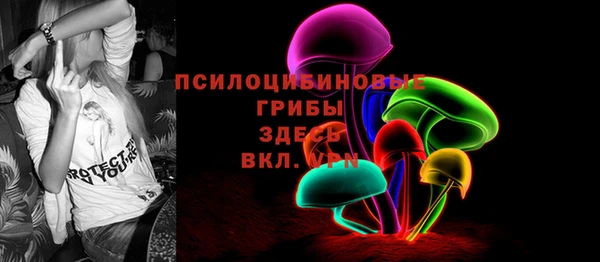 соль ск Кинешма