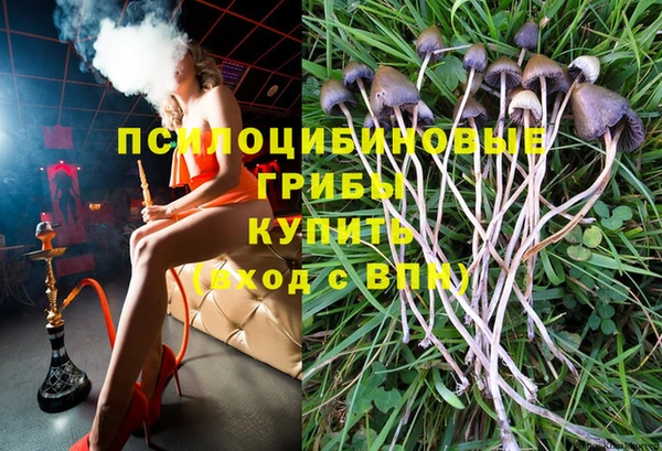 соль ск Кинешма