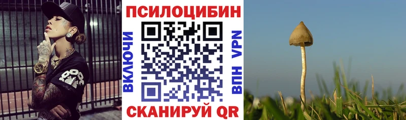 Купить  Зеленоградск  Галлюциногенные грибы мицелий 