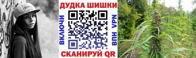 Купить где  Зеленоградск  Каннабис марихуана 
